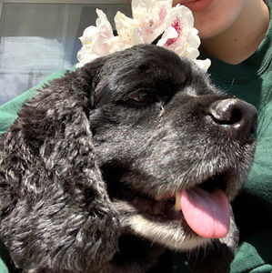 Meet your Posher, Eliza